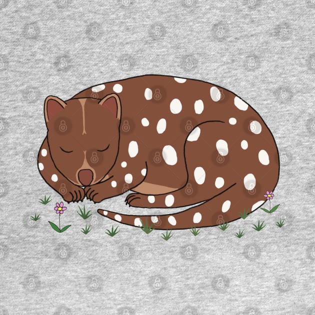 Spotted Quoll by wanungara
